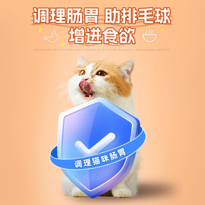 Bâton à mâcher à la catnip, grande taille, jouet pour chat, nettoyage des dents, bois durable pour chats - Product Image 4