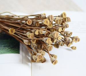 Ogni amore ha asciugato i rami di frutta il Bouquet di fiori naturali la disposizione dei fiori di nozze la casa la decorazione dei fiori - Product Image 6