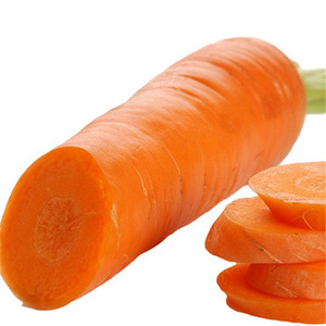 2025 carottes fraîches biologiques sans pesticides cultivées riches en bêta-carotène goût croquant pour la vente au détail et l'industrie alimentaire - Product Image 6