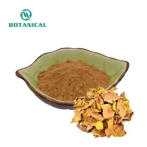 Yellow Brown Fine Powder Food Grade Pomegranate Peel Extract CAS No. 65995-63-3 Punicalagin 40%