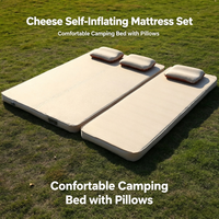 Matelas de camping auto-gonflant, coussin de couchage gonflable en mousse éponge, pliable, portable, avec pompe intégrée, moderne, pour le camping en plein air