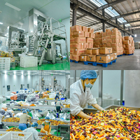 Fruit- en groentesnacks 125g Gemengde set van 8 soorten Zoete gedroogde vruchten