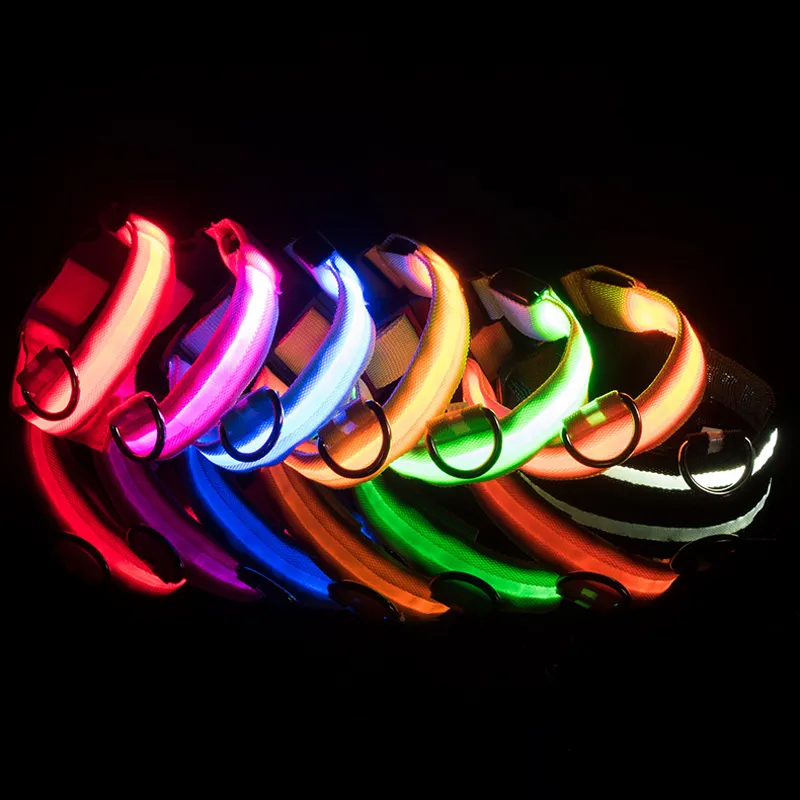 Night walking glowing LED collare per cani pet cat collari luminosi in nylon collare per cani ricaricabile usb safty dog products