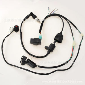 Zhen Nirui Off-road Motorcycle Kick Start <b>Wiring</b> Harness <b>Assembly</b> With Cap Universal 50-125cc Plastic Black - Product Image 5