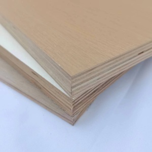 Modern 12 <strong>mm</strong> Bamboo <strong>Plywood</strong> E0 Standard <strong>4</strong> X 8 White Melamine Walnut Veneer Board Surface Genuine Value Money Marine Villa - Product Image 3