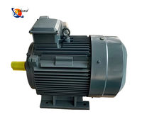 Générateur à aimant permanent de 20kW 50kW 100kW à bas régime pour l'utilisation d'une turbine hydraulique