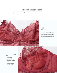 High Quality Sexy Ultra Thin Transparent Lace Lingerie Femme Plus Size <b>Bra</b> for Women - Product Image 5