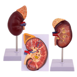 3 - Product Image 1