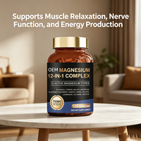 Magnésium & Zinc 12-en-1 Complex Capsules 700mg par Portion 120 Comprimés Supplément OEM 12 Types Actifs de Magnésium Durée de Conservation de 24 Mois