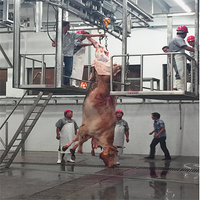 Machine industrielle d'abattage de bétail en acier inoxydable, équipement d'abattoir haute performance, outil d'abattage