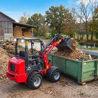 Minicargadora W1160 al por mayor con bomba de pistones Rexroth y motor Kubota, cargadora compacta para trabajos de construcción ligera 2.6T