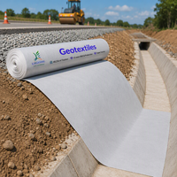 Tissu géotextile non tissé pour la construction routière, la séparation des couches sous-terrain, le drainage, la filtration et la stabilisation des sols