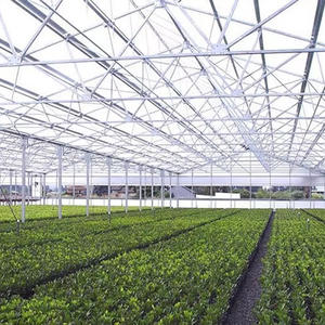 Grande serre intelligente à cadre en acier galvanisé Venlo solaire passif à faible coût avec verre trempé pour usage agricole - Product Image 5