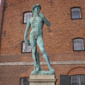 Produttore di Statue di David in Bronzo Personalizzate, Sculture a Grandezza Naturale per Giardini, Decorazioni Esterne e Musei - Product Image 6