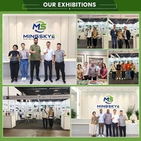 Kotak Kemasan Plastik Persegi Panjang Tahan Air, Dapat Ditumpuk, Desain Berventilasi untuk Penggunaan di Peternakan Sushi, Mie, dan Sayuran, Guangdong