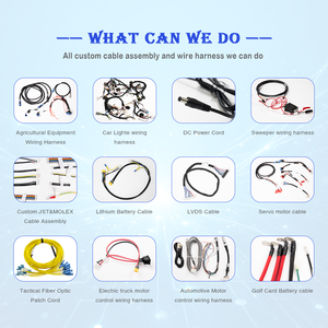<span class=keywords><strong>Harness</strong></span> Kabel Kustom untuk Sasis Truk Pertanian, Perakitan Kabel Otomotif - Product Image 6