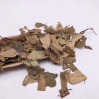 7022 Chi Geng Teng Feuilles de Gymnema Séchées en Gros de Haute Qualité pour Tisane, Feuilles de Gymnema Sylvestre