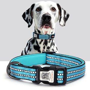 Collar de Nailon de Lujo para Perros, con Hebilla Ajustable, Reflectante, Diseño de Moda, Software Personalizado Smart ID, Fabricante - Product Image 1