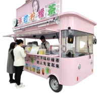 Mini camion de restauration compact avec équipement de cuisine complet, remorque alimentaire mobile pour pizza, boulangerie, barbecue, bus et snack-bar