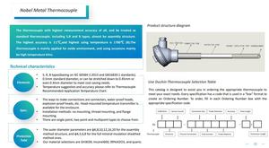 โรงงานผู้ผลิตโดยตรง 29 ปี ผลิตเทอร์โมคัปเปิลชนิด S ทนความร้อนสูง ทำจาก SiC ผสมแพลตตินัมและโรเดียม - Product Image 6