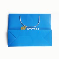 Sac de shopping en carton blanc de luxe personnalisé 250 g/m² avec estampage à chaud doré et pelliculage mat pour boutique de vêtements et cadeaux