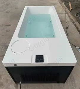 Baignoires de glace de luxe Spa piscine une pièce acrylique bain plongeant froid tout en eau froide baignoire de thérapie avec refroidisseur