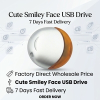 Flash Drive USB Bentuk Wajah Lucu 16GB/32GB/64GB Terenkripsi Hadiah Kreatif