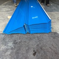 Tôles d'acier ondulées colorées 20G 24G, panneaux de toiture galvanisés à chaud, tôles d'acier revêtues de couleur