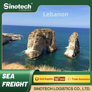 Sea <span class=keywords><strong>Freight</strong></span> Shipping Agentfreight forwarder para beirut <span class=keywords><strong>lebanon</strong></span> DDP Sea Cargo <span class=keywords><strong>Freight</strong></span> Agent FBA - Product Image 4