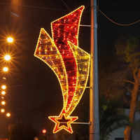 Luces LED Decorativas para Exteriores, Montadas en Poste, 2D, IP65, Impermeables, con Motivos Navideños y para Bodas, Personalizadas OEM