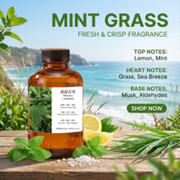 Huile parfumée vert menthe, citron, menthe marine, brise marine, musc, diffuseur d'arômes, huile essentielle, OEM ODM, machine à parfum commerciale, hôtel