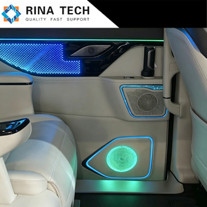 Panneau d'éclairage intérieur de voiture avec rétroéclairage PMMA PC LGP 8 mm d'épaisseur pour berline/SUV, capteur tactile de poignée de porte, Rina Tech - Product Image 5