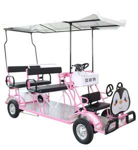 48v 60v סוללה עופרת חומצה עופרת 4 אופניים סארי חשמלי גלגל 2-4 אנשים סיירי סיור משפחתי לרכב מקומי & אוטובוס - Product Image 4