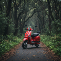 1000W Motorlu Elektrikli Motosiklet Ön Disk Arka Kampana Fren 3.00-10 Tubeless Lastik Yetişkin E Motosiklet