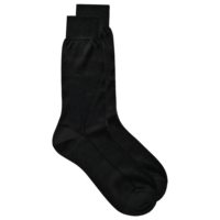 Chaussettes fines en soie de mûrier 100% pour homme, respirantes, antibactériennes, sans couture, style business, couleur unie
