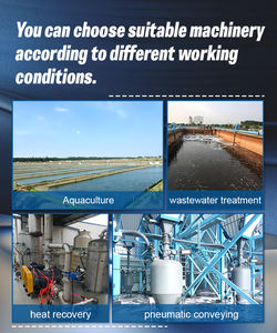 Bomba de Vacío Industrial de Alta Eficiencia de 7.5KW y 380V, Soplador Roots para Sistemas de Aireación Profesionales - Product Image 3