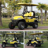 Voiturette de golf électrique tout-terrain surélevée pour visites touristiques, 157 mm de garde au sol, capacité de montée de 20 degrés, batterie 8V, vitesse de 30 km/h