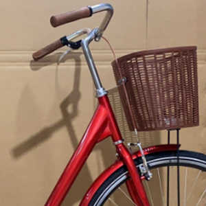 Bicicleta Utilitária Princesa Ballet Miss <span class=keywords><strong>Vintage</strong></span> 16 polegadas, Quadro Rígido em Liga de Alumínio, Garfo de Aço, Velocidade Única, Freio Traseiro OMA, 70kg - Product Image 6