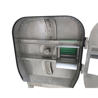 Multifunctionele automatische zware groente-snijmachine/aardappel- en fruitsnijder voor restaurants & hotels