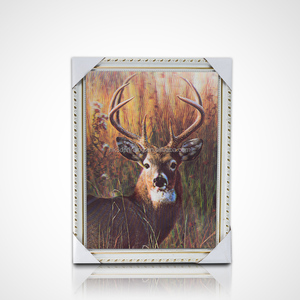 Impression lenticulaire 3D personnalisée avec cadre, effet d'image changeante, thème anime - Product Image 6