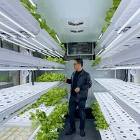 Système hydroponique NFT avec lampes de culture LED, contrôle climatique entièrement automatisé, agriculture verticale à haut rendement, pompe pour laitues et légumes à feuilles.