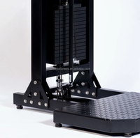 Machine de musculation professionnelle pour salle de sport, équipement de fitness pour biceps et triceps, machine à curls pour les bras debout