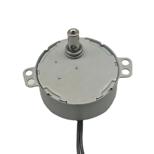 High quality Large torque 110V 220V TY50 4W AC miniature Synchronous Gear box Motor Juicer Machine fan electric motor