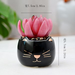 セラミックかわいいペット猫ミニ漫画フラワーポット多肉植物用屋内装飾アクセサリー卸売り植物なし - Product Image 3