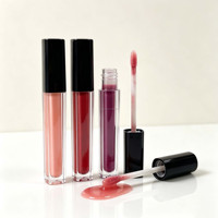 Rouge à lèvres liquide brillant noir, non gras, hydratant, haute pigmentation, 5 ml, marque privée