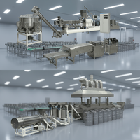 Máquina Extrusora de Productos Granulares Industriales, Línea de Procesamiento de Alimentos de Alta Capacidad, Proveedor de Equipos de Fabricación Comercial