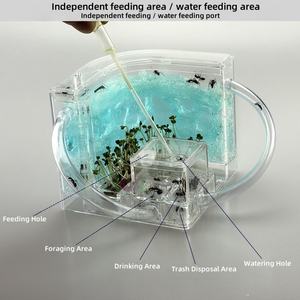Usmilepet ท่อทดสอบแมลงอะคริลิคสำหรับ<span class=keywords><strong>บ้าน</strong></span><span class=keywords><strong>มด</strong></span>อะคริลิคสำหรับเขาวงกตระบบนิเวศสีฟ้า - Product Image 3