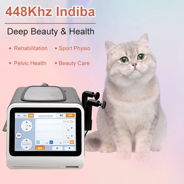 CE Certified Portable Dual-Frequency 20khz + 448khz Tecartherapy TECAR Therapy Physiotherapy Machine for Rehabilitation Vet