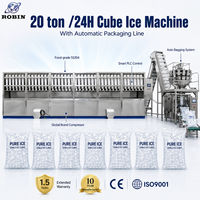 Machine à glaçons industrielle en cubes 20 tonnes/jour, contrôlée par PLC, entraînée par moteur, haute productivité pour les entreprises avec ensachage automatique