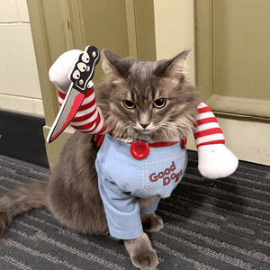 Disfraz Personalizable para Mascotas, Clásico y Adorable, <span class=keywords><strong>de</strong></span> Poliéster Decorativo para Gatos y Perros Pequeños y Medianos, Cómodo, Simple, Divertido y Ecológico - Product Image 1